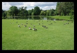 Kent - Leeds Castle -05-06-2014 - Bogdan Balaban